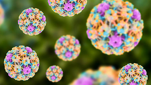 ویروس HPV زگیل تناسلی