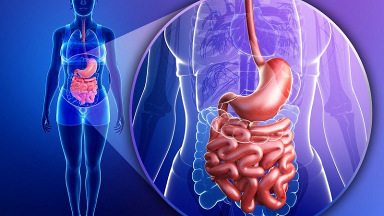 سلامت دستگاه گوارش